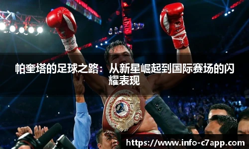 c7娱乐官方网站